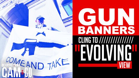 Gun banners cling to "evolving" view of the Second Amendment