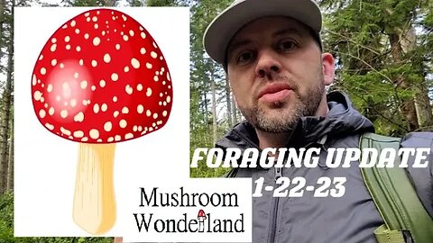 Wild Mushroom Foraging update 1-22-23