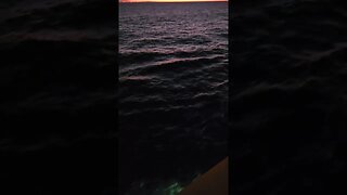 Sunset From Wonder of The Seas! - Part 11
