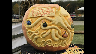 Squashcarver 'Giant Octopus' giant pumpkin carving time-lapse