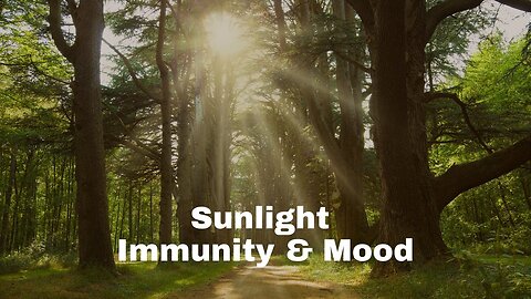 Sunlight, Immunity and Mood: Exploring the Connection