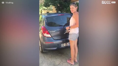 Le coffre de cette voiture cache plein de surprises!