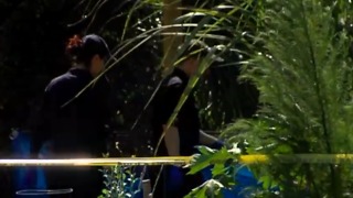 Woman's body found in community garden