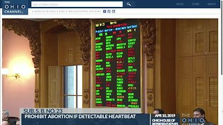 Ohio House erupts after 'Heartbeat bill' passes