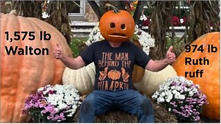 Grow a Giant Pumpkin 🎃 20 year history of seeds