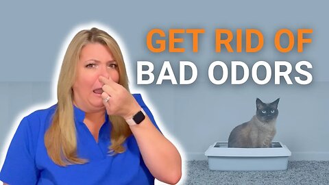 How To Get Rid Of Bad Odors to Increase Your Probate Sale Price