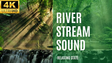 4K Forest Stream Relaxing River Sounds Stress Relief