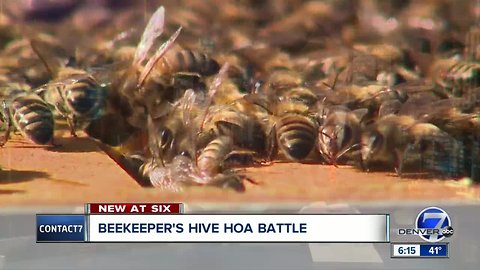 Arvada HOA approves backyard bees, then backs off its decision
