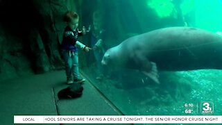 Omaha's Henry Doorly Zoo welcomes harbor seals