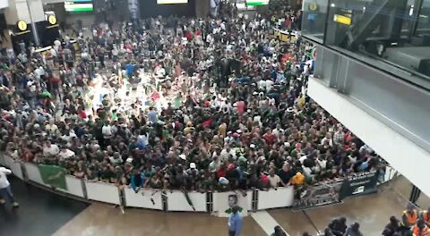 South Africa - Johannesburg - RWC Boks Arrival (Video 20) (vnU)