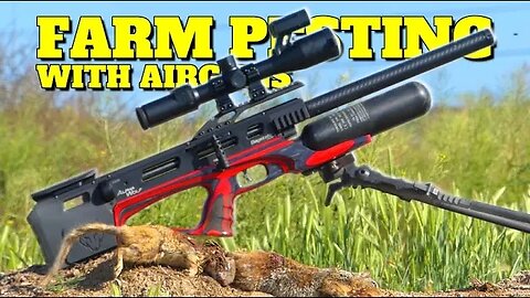 FARM PESTING WITH AIRGUNS