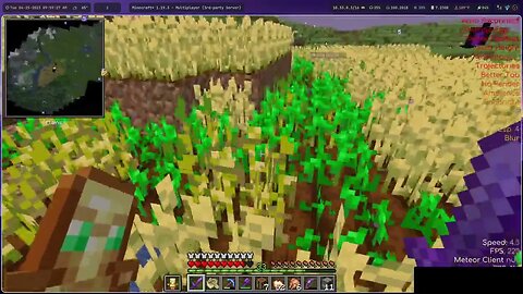 Found a valley of wheat near the highway and finally got an elytra - Constantiam