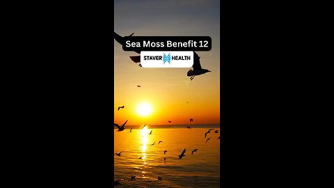 Sea Moss Benefit