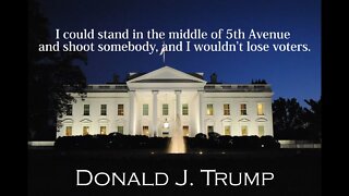 Donald Trump Quotes - I could stand in the middle of 5th Avenue...