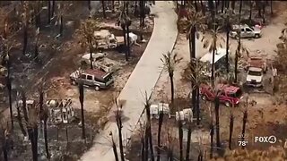 Rain brings hope to brush fire area in Collier County