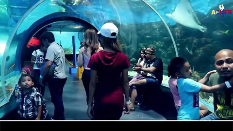 TAKE YOUR FILIPINA TO MANILA OCEAN PARK - SHE WILL LOVE IT💖