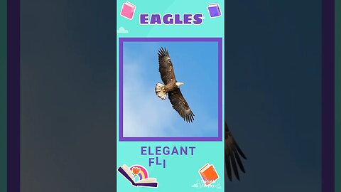 Facts about EAGLES 🦅🐟