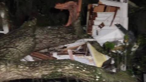 Digital Short: Storm topples tree, destroys home in Citrus County