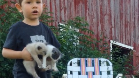 Cuteness Overload! These Kittens Running Off The Blanket Will Make You Say Awww!