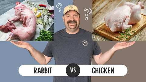 Processing RABBIT vs CHICKEN..Which is Right For You?