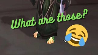 World of Warcraft Wrath Classic- What are those?