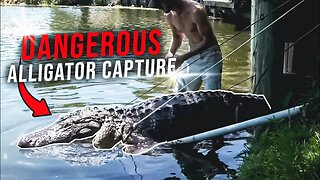 In the Water With An Angry 9 Foot Alligator!