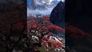 Mont Fitz Roy Los Giacires National Park El Challtén Patagonia, Argentína
