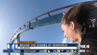 SeaWorld Orlando hyper coaster Mako provides thrills