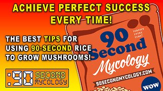 Achieve Perfect Success With the 'Uncle Ben's Tek' - Every Time! \\ Growing Edible Mushrooms