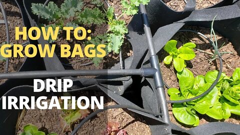 Grow Bag Garden Drip Irrigation System