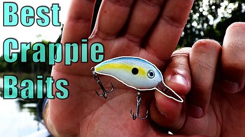 Best Crappie Fishing LURES! | Best Search BAITS for Crappie