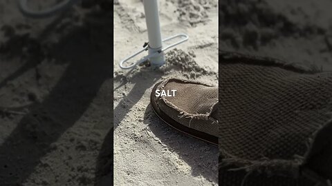Salt SC beaches are the best beaches