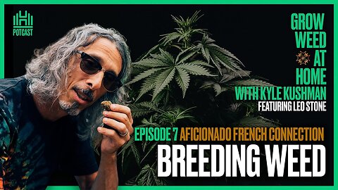 Cannabis Breeding: Humboldt, South America, & Europe with Leo Stone & Kyle Kushman | Episode 7