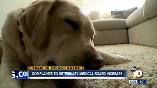 Complaints to the State Veterinary Medical Board increase
