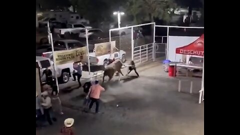 Rodeo Bull Hops Fence Charges Spectators, Injures 4