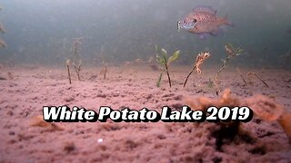 White Potato Lake 2019