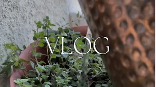 VLOG | A day in the life.