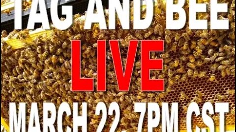 - TAG AND BEE LIVE