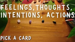 Their FEELINGS, THOUGHTS, INTENTIONS & NEXT ACTIONS for you? || PICK A CARD Love Tarot reading