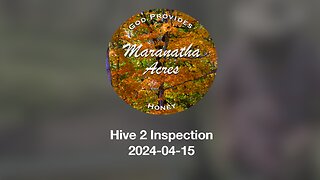 Hive 2 Inspection 2024-04-15