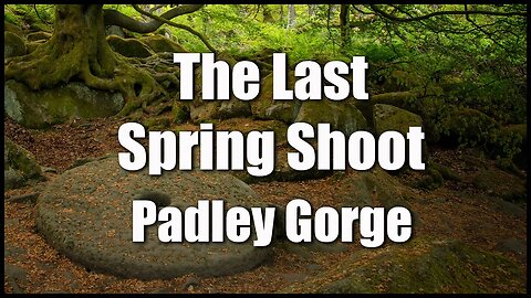 The Last of Spring Shoot at Padley Gorge