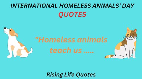 INTERNATIONAL HOMELESS ANIMALS’ DAY Quotes