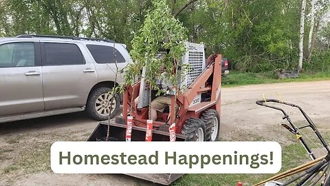 Homestead Update! | Planting Trees, New Building, New Chicks and a Garden Tour!