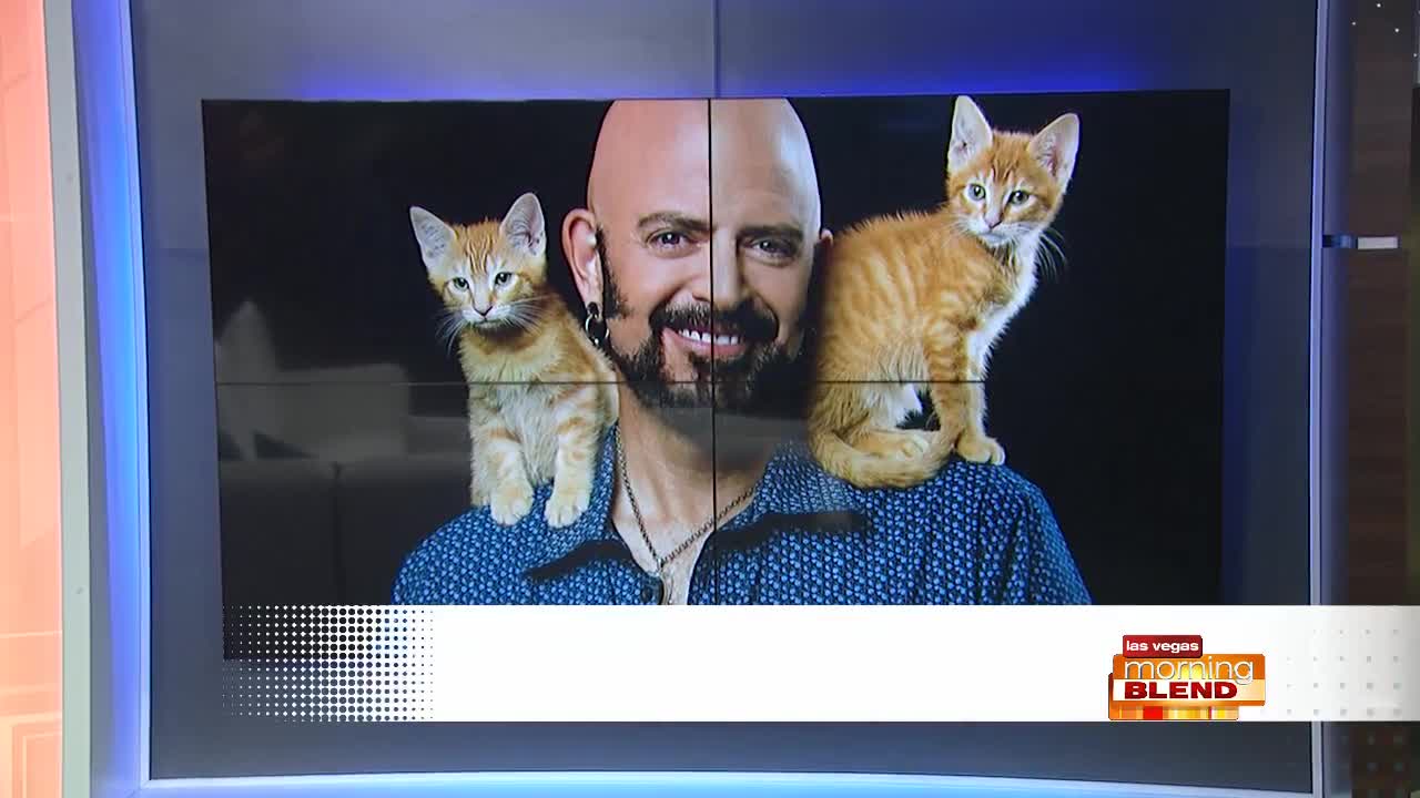 Jackson Galaxy's Cat Camp Is Ready To Me-wow Las Vegas!