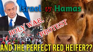 Will 5 Red Heifers start WWIII with the Hamas & Israeli Conflict