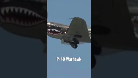 #aviationlover #warbird #curtis #p40 #warhawk #1940 #airplanesdaily #johnbelushi #eaa #flying