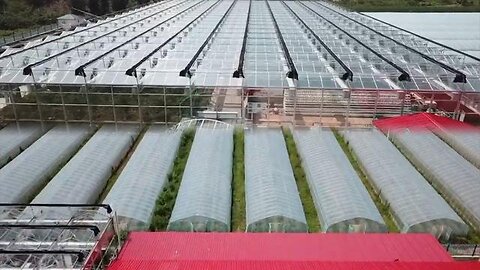China's Advanced Innovative Farming At Another (stolen Dutch) Level