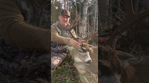 An awesome Oregon Blacktail taken with a 22 Creedmoor #shorts #hunting