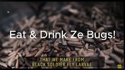 Eat & Drink Ze Bugs!