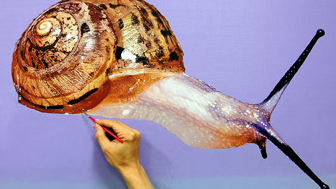 Talented artist creates breathtaking snail portrait